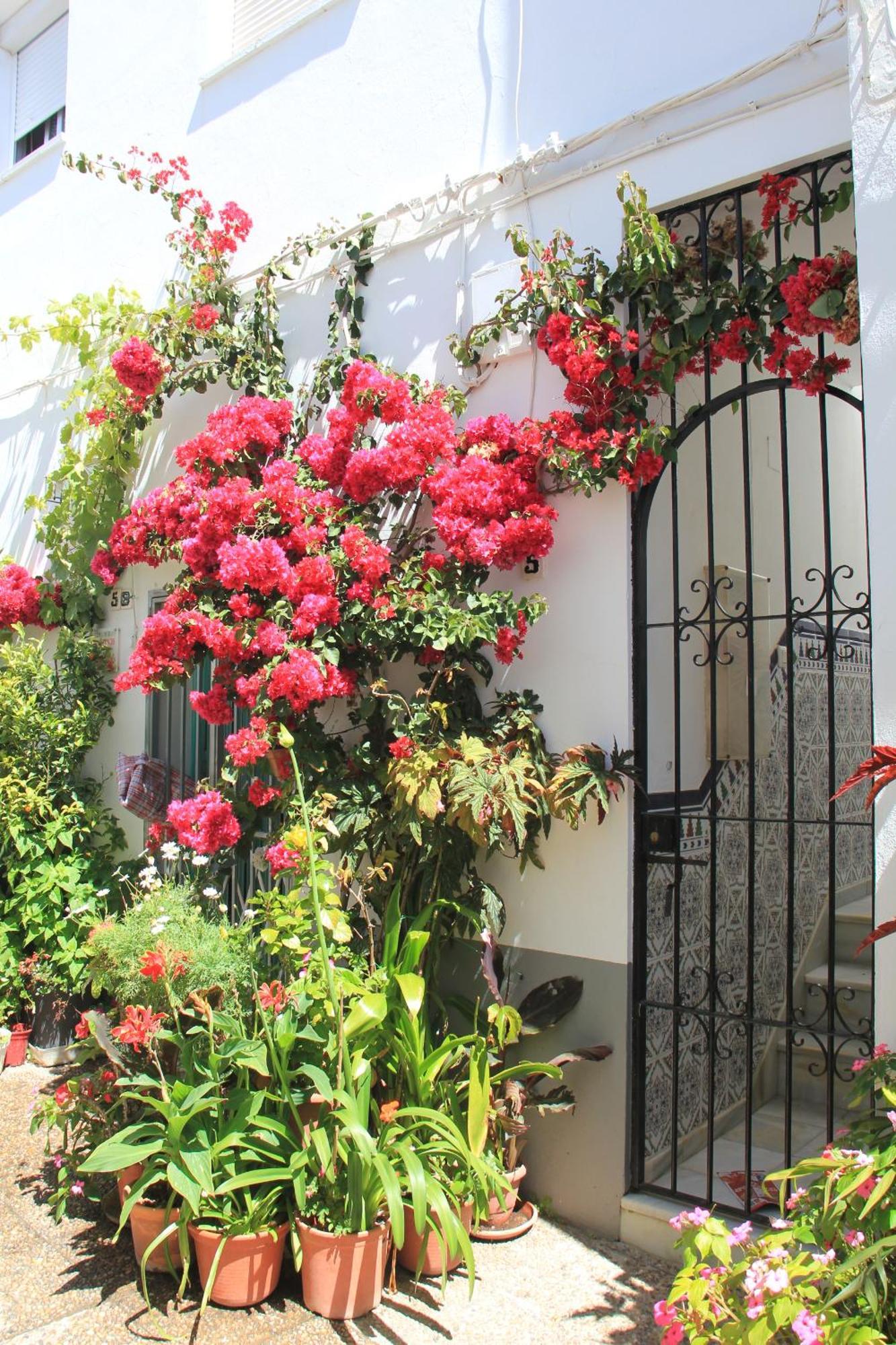 Casa Magallanes Conil Villa Conil de la Frontera Kültér fotó